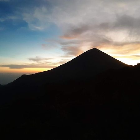 Manulalu Jungle Hotel Bajawa Ngoại thất bức ảnh
