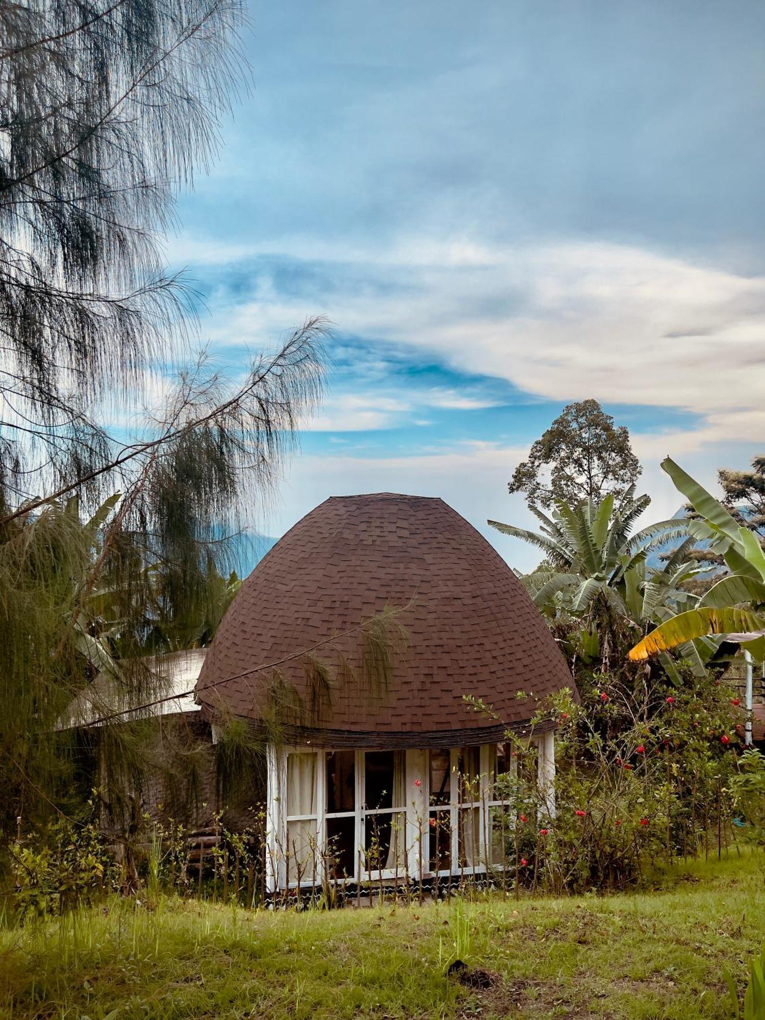 Manulalu Jungle Hotel Bajawa Ngoại thất bức ảnh