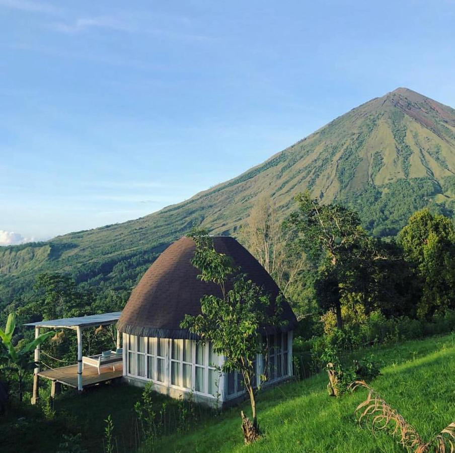Manulalu Jungle Hotel Bajawa Ngoại thất bức ảnh